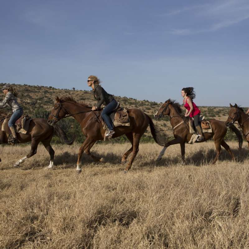 Horse riding on Borana