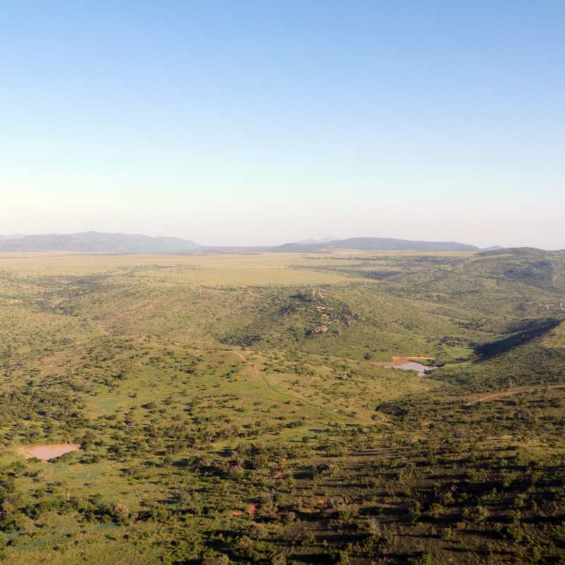 Borana Conservancy