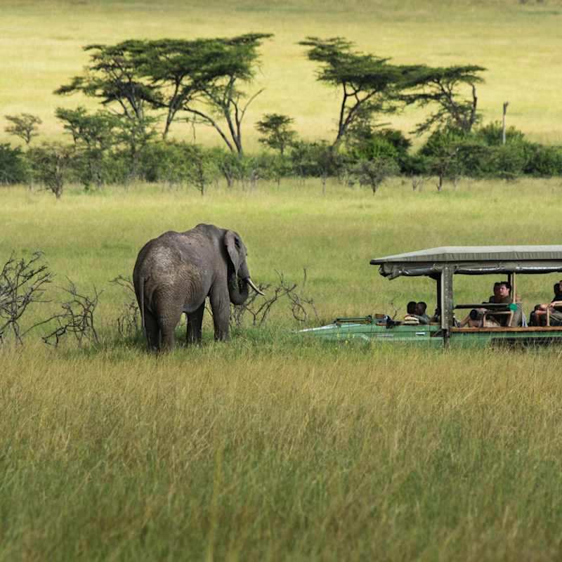 Game drive 