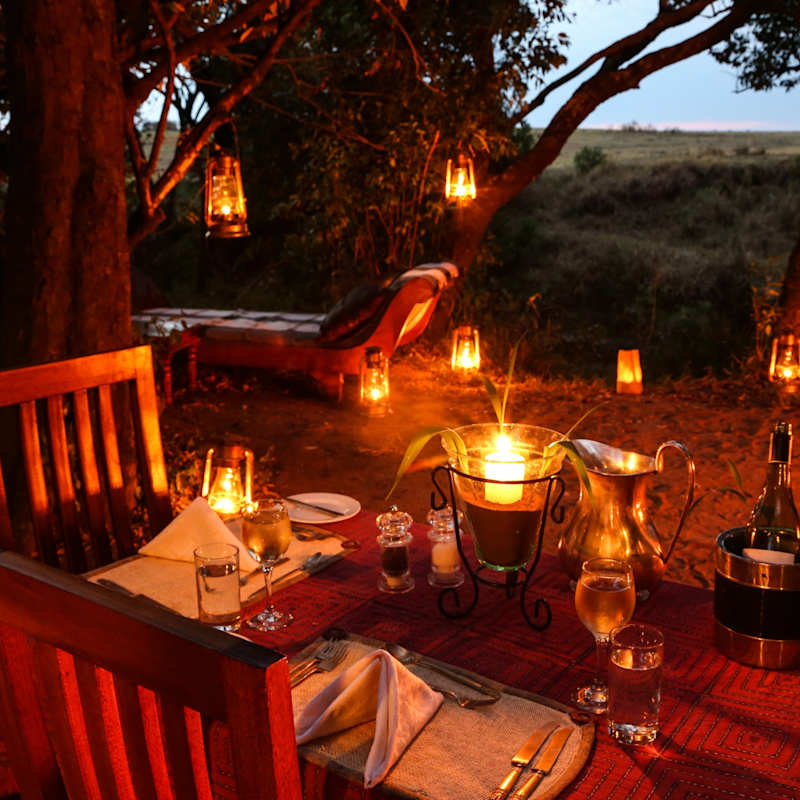 Evening dinner 