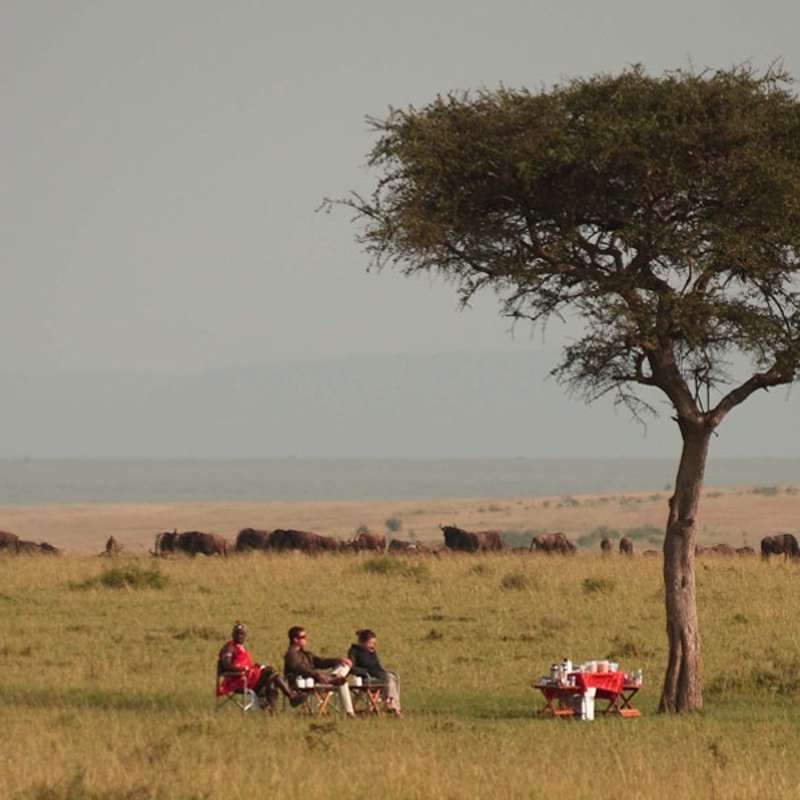 Game drive drinks - Naibor