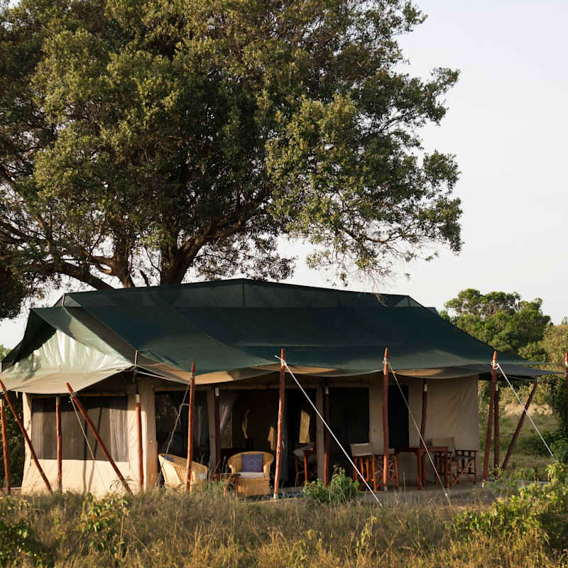 Tent Exterior 
