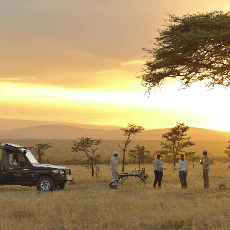 Sundowners on safari  