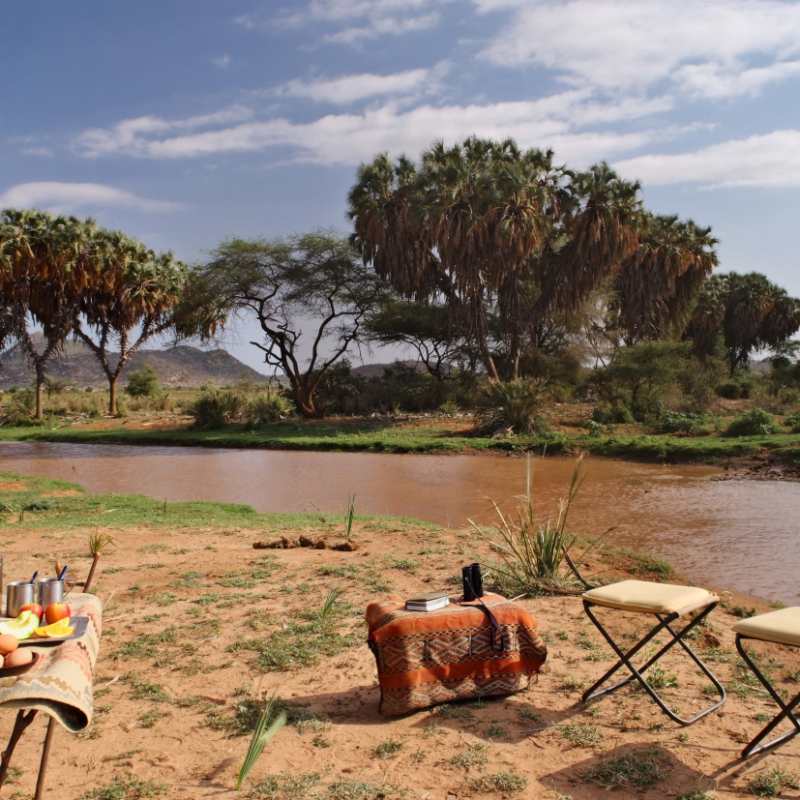 Bush Breakfast, Samburu 
