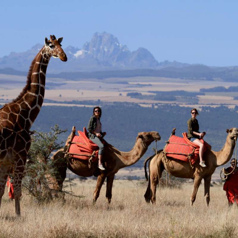 Lewa camel safari  - Kenya and Zanzibar