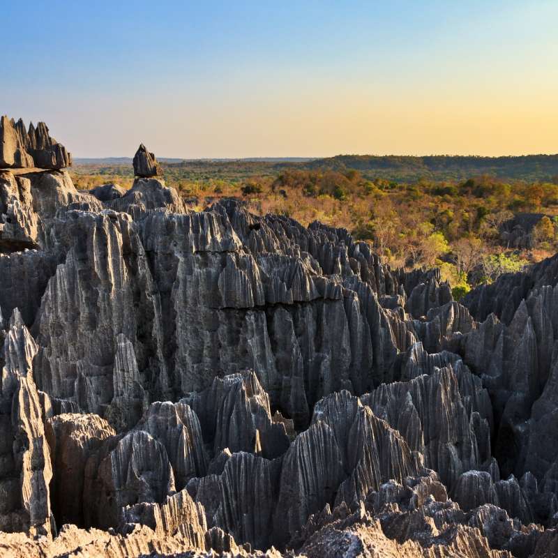 Tsingy de Bemaraha - Le Soleil des Tsingy