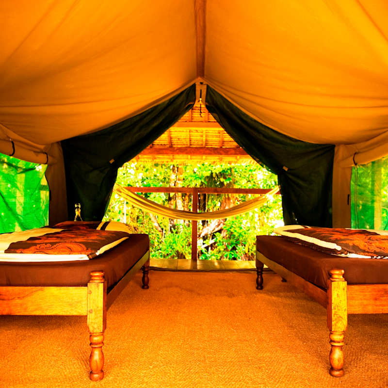 Bedroom - Masoala Forest Lodge