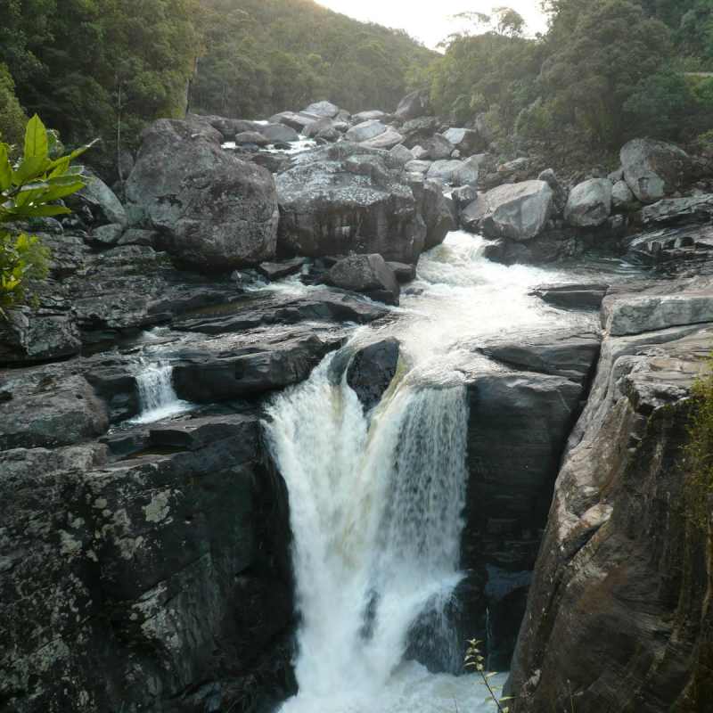 Parc National de Ranomafana - Setam Lodge
