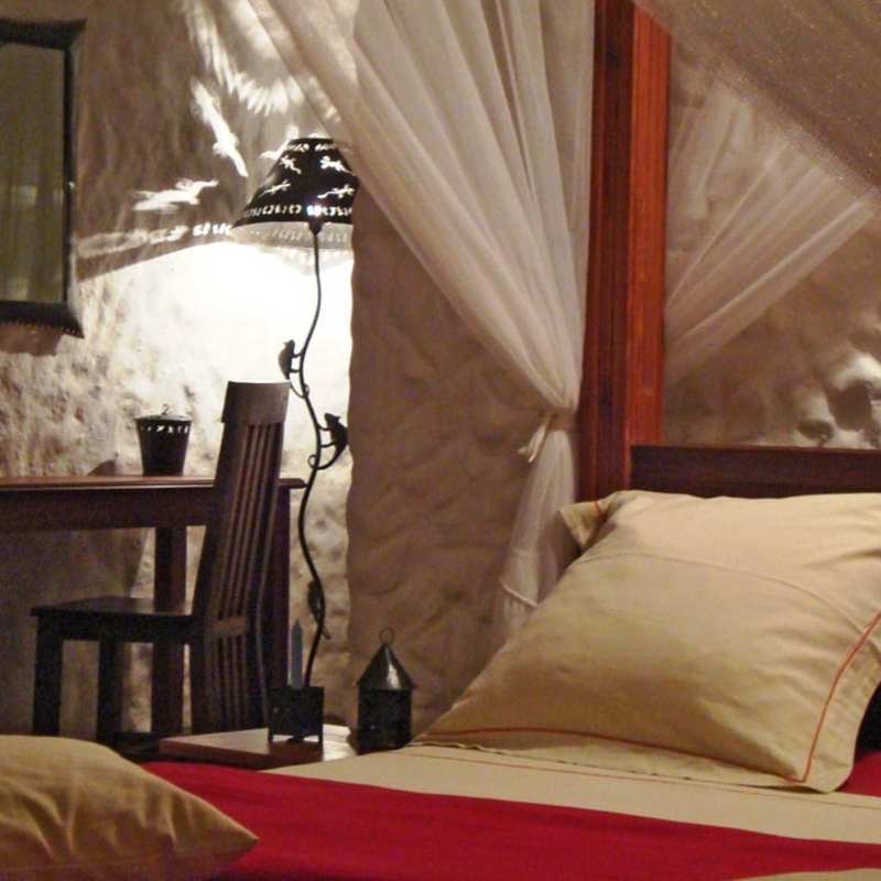 Room Litchi Tree 