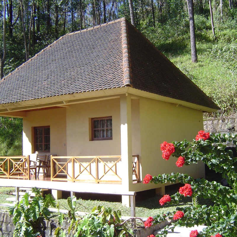 Chalet - Vakona Forest Lodge