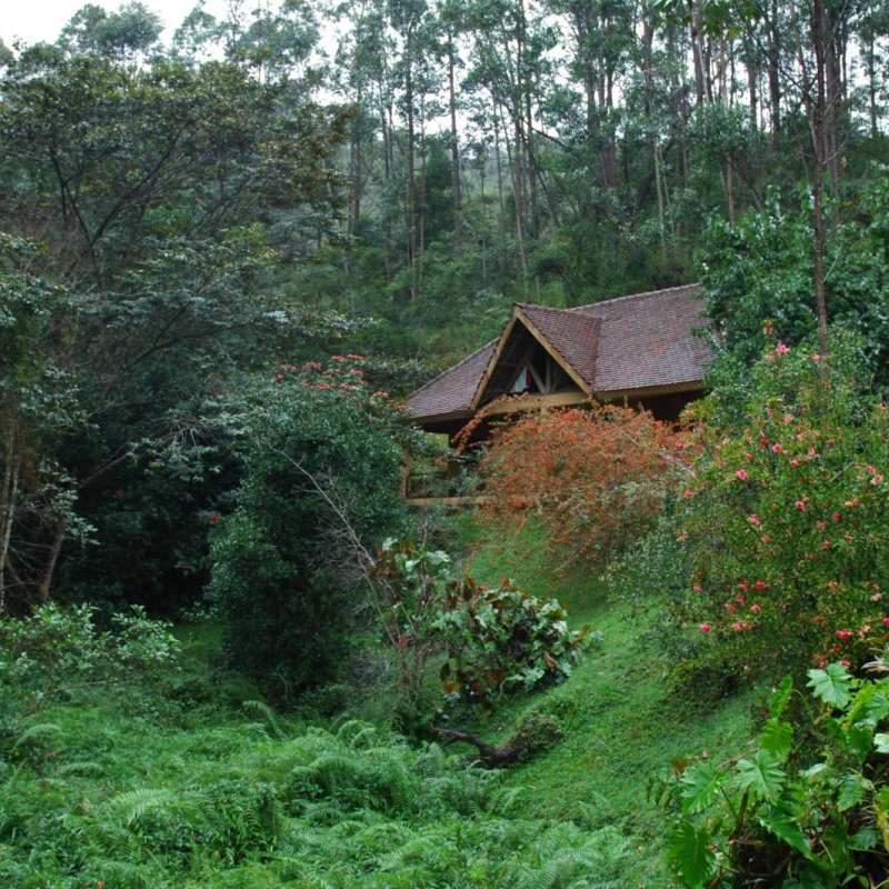 Exterior - Vakona Forest Lodge