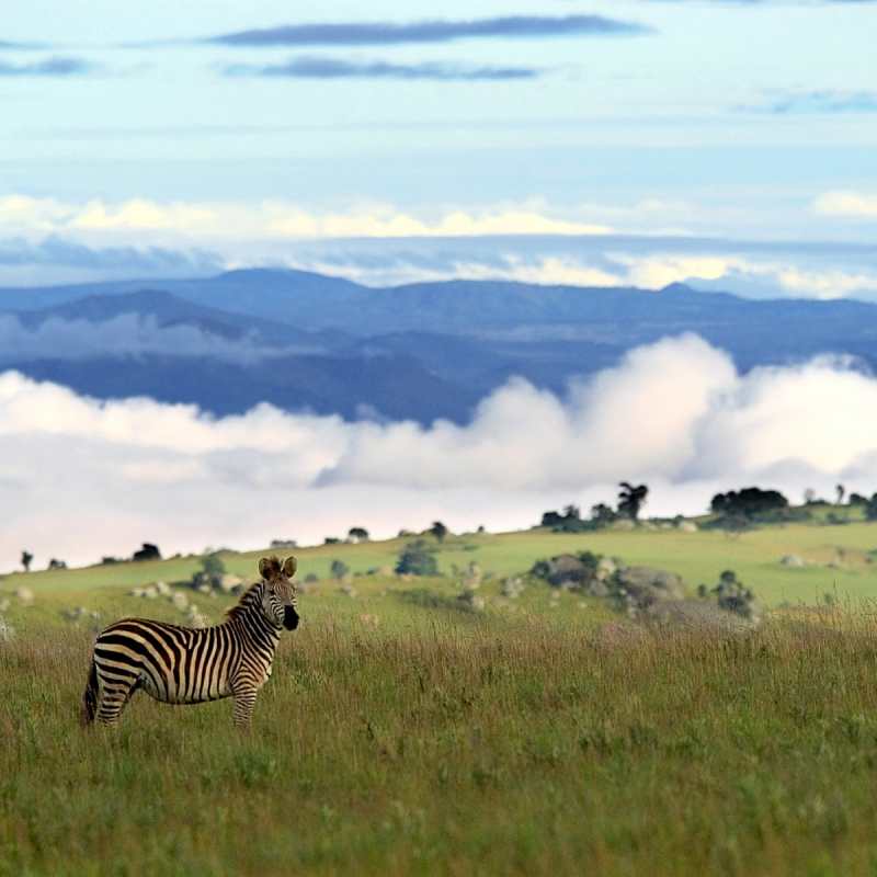 Nyika Plateau - Explore the highlights of Malawi
