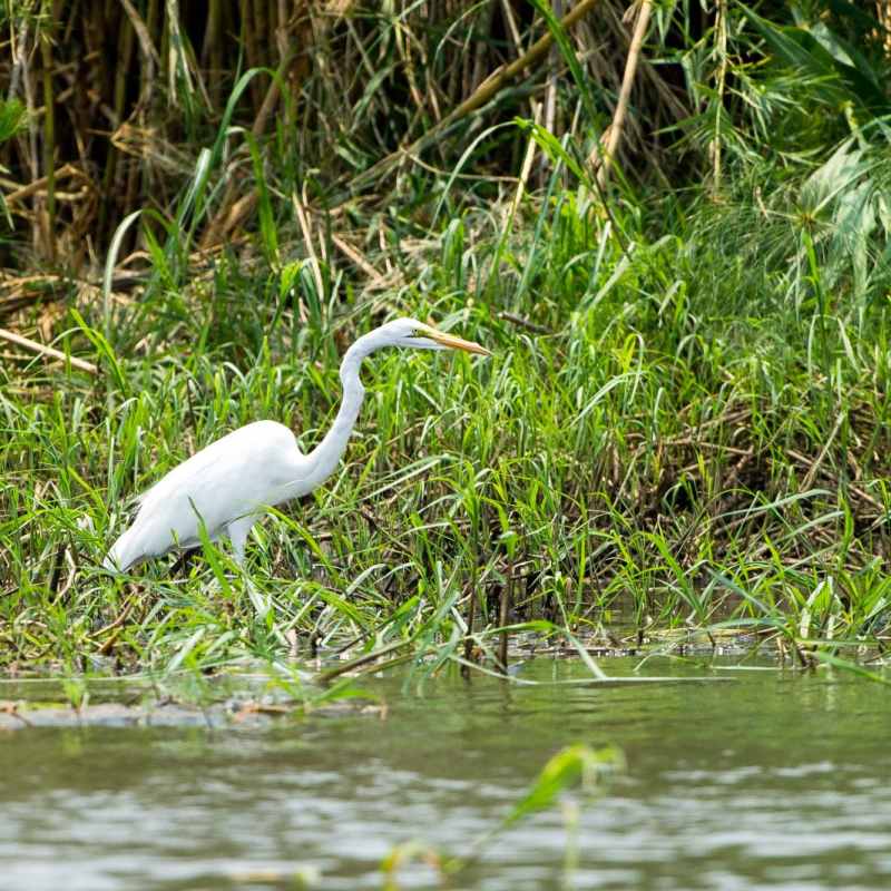 Majete Wildlife Reserve - Malawi Safari and Lake 