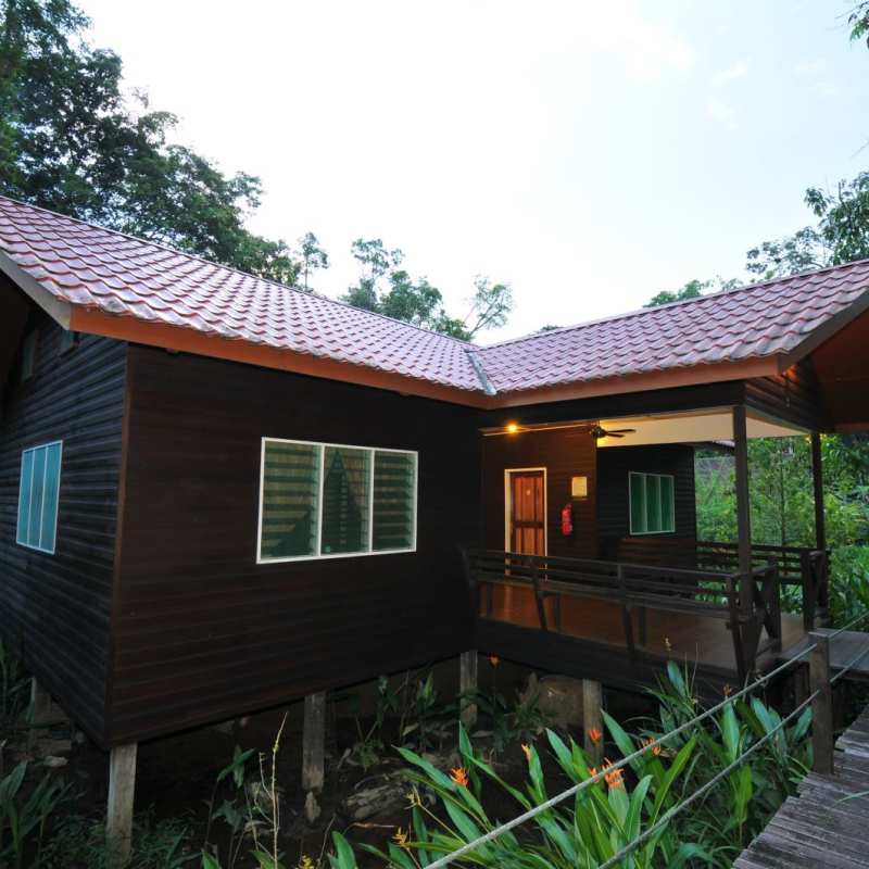 Semi Detach  - Abai Jungle Lodge