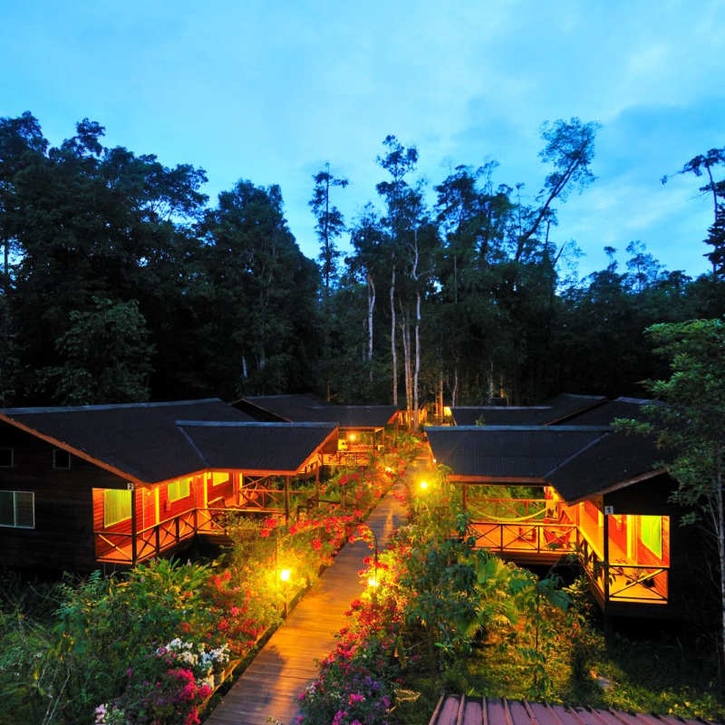 Dusk  - Abai Jungle Lodge