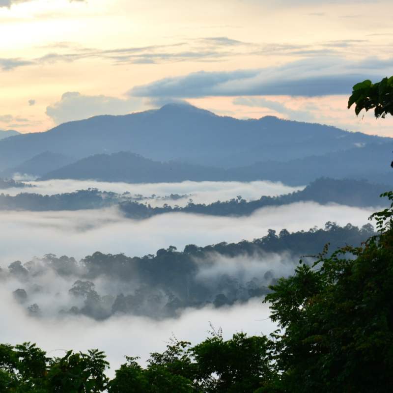 Danum Valley - Borneo Rainforest Lodge