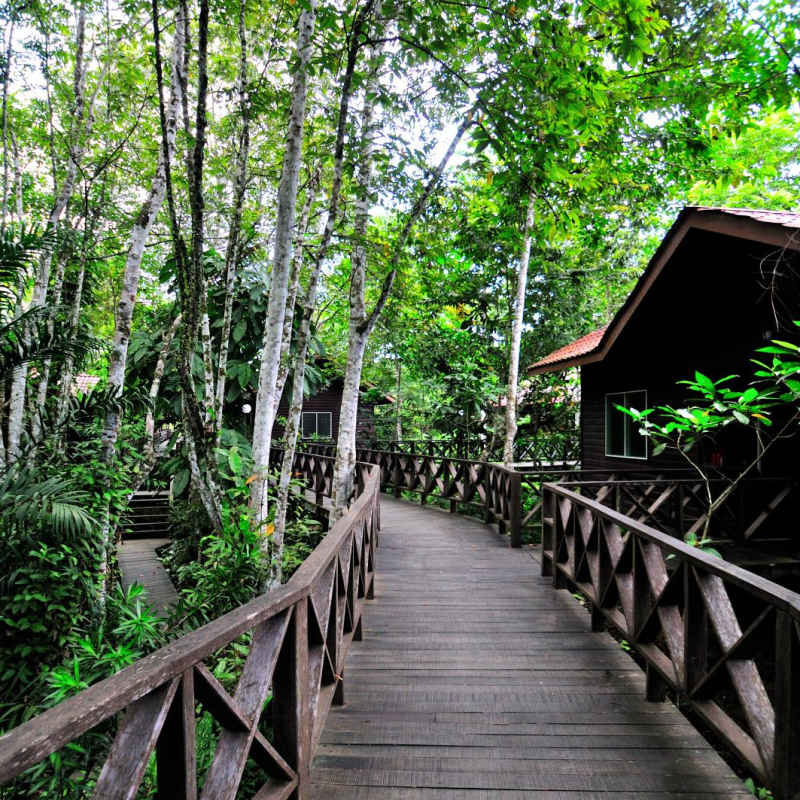 Chalet path - Kinabatangan Riverside Lodge