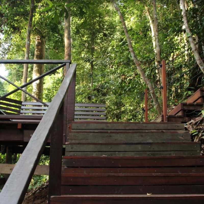 Boardwalk - MY Nature Resort