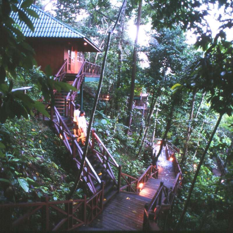 Hill Lodge - Tabin Wildlife Resort