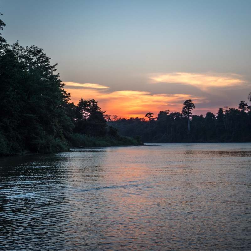 Kinabatangan River - 