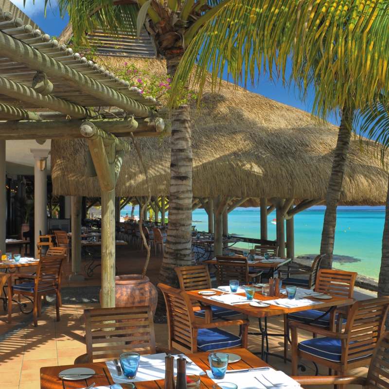 Blue Marlin