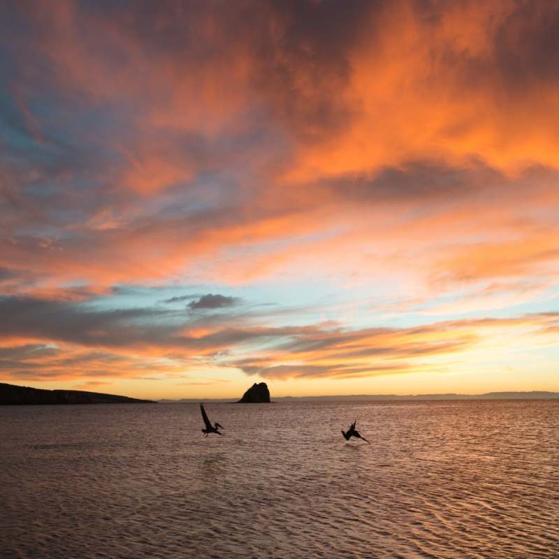 Sea of Cortez - Camp Cecil