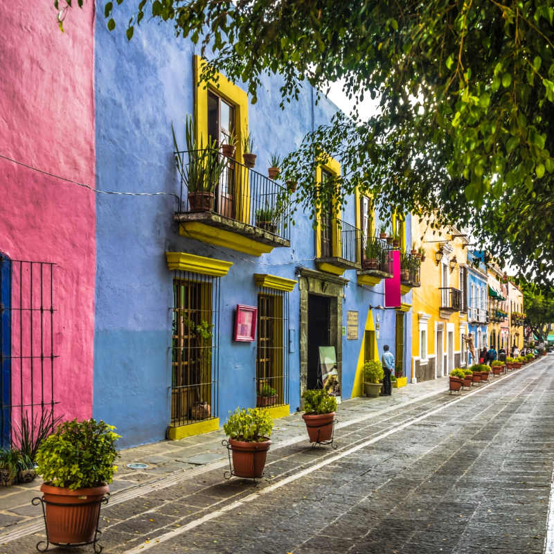 Puebla street - A Culinary Journey