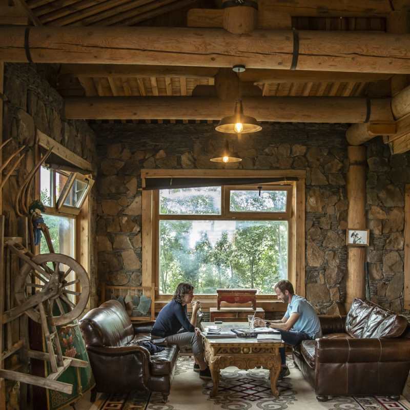 Dino House 
