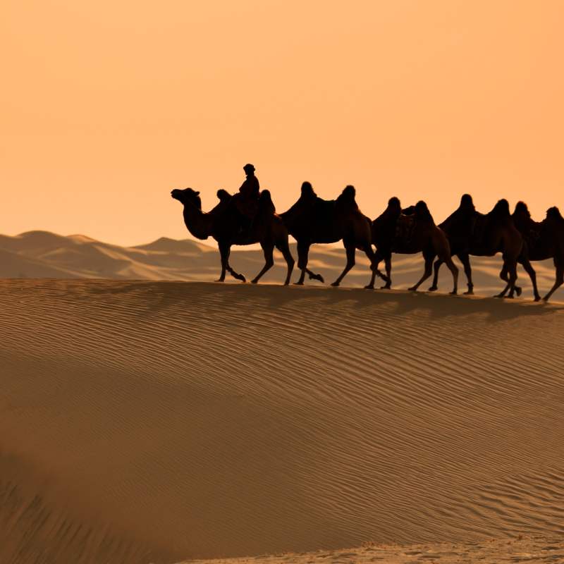 Gobi Desert 