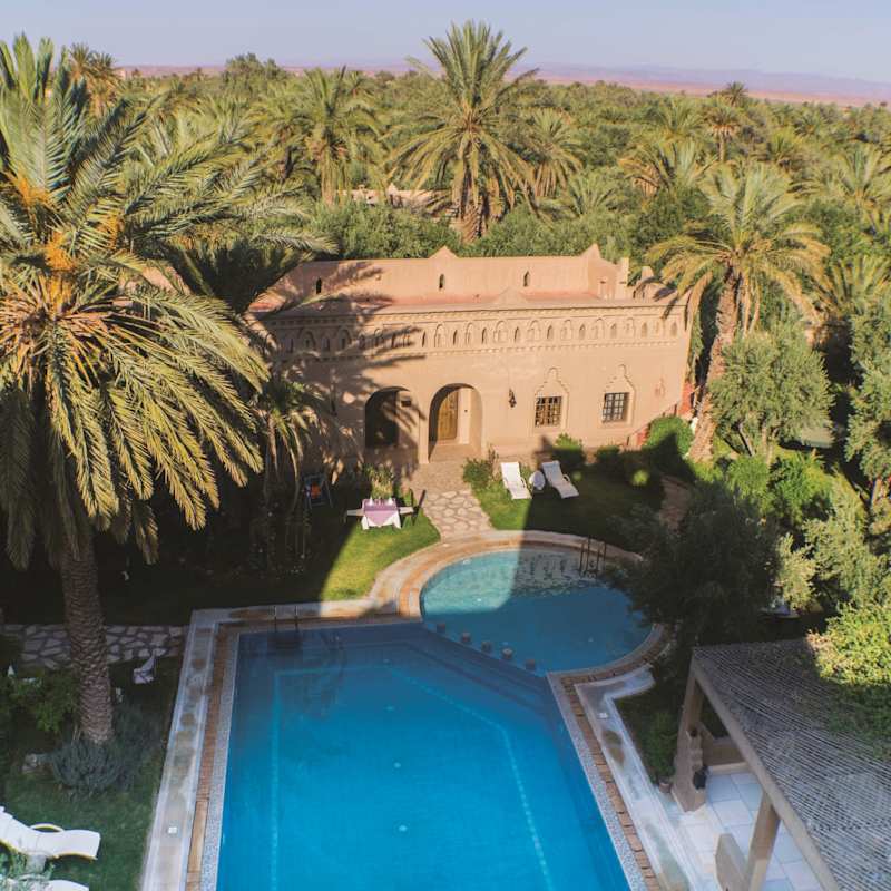 Swimming Pool and surrounding palm grove