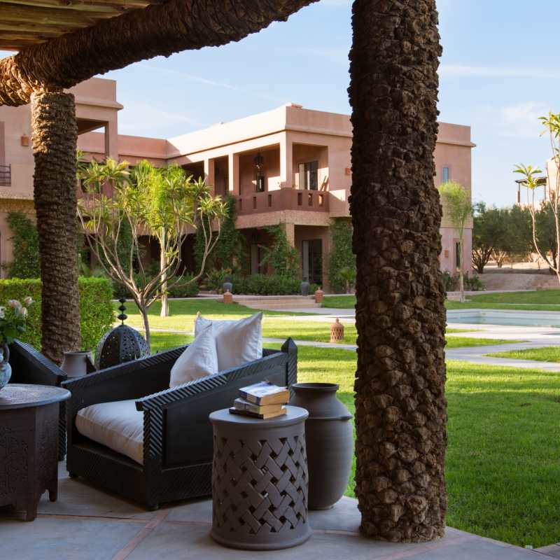 Palm Terrace - The Capaldi