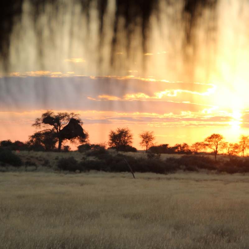 Kalahari Red Dunes Lodge