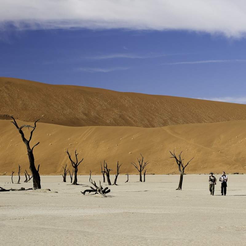 Dead Vlei - Kulala Desert Lodge