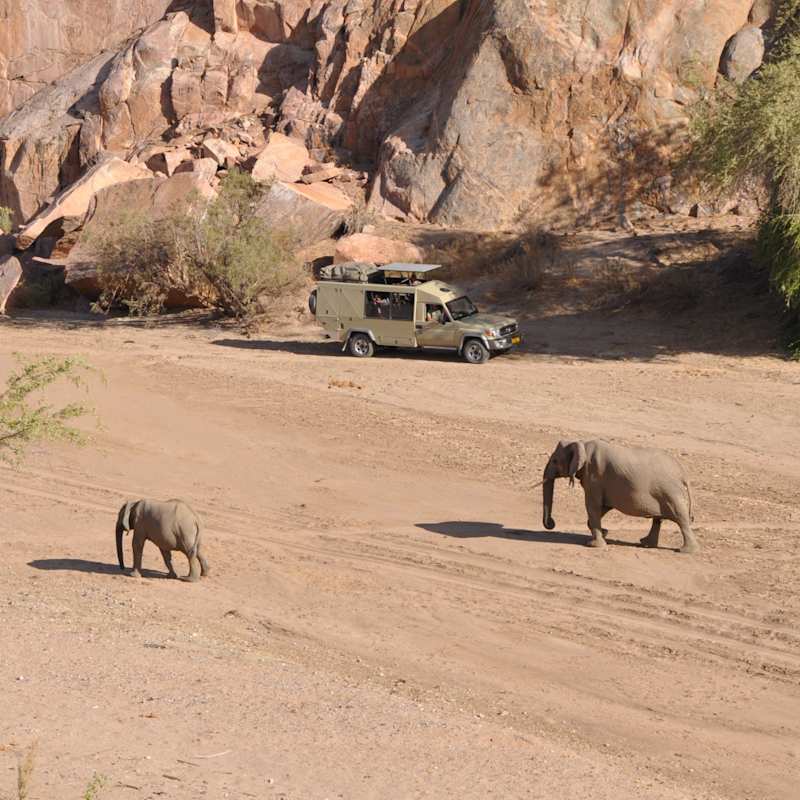 Viewing elephants - Ozondjou Trails
