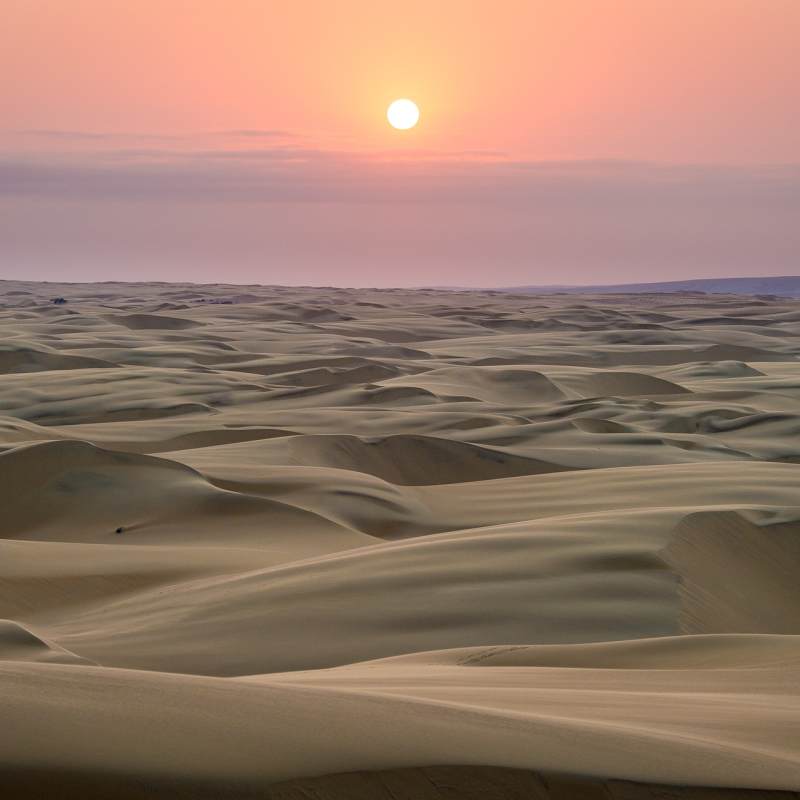 Desert landscapes - 