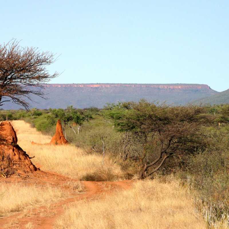 Landscape at the Waterberg Wilderness Lodge