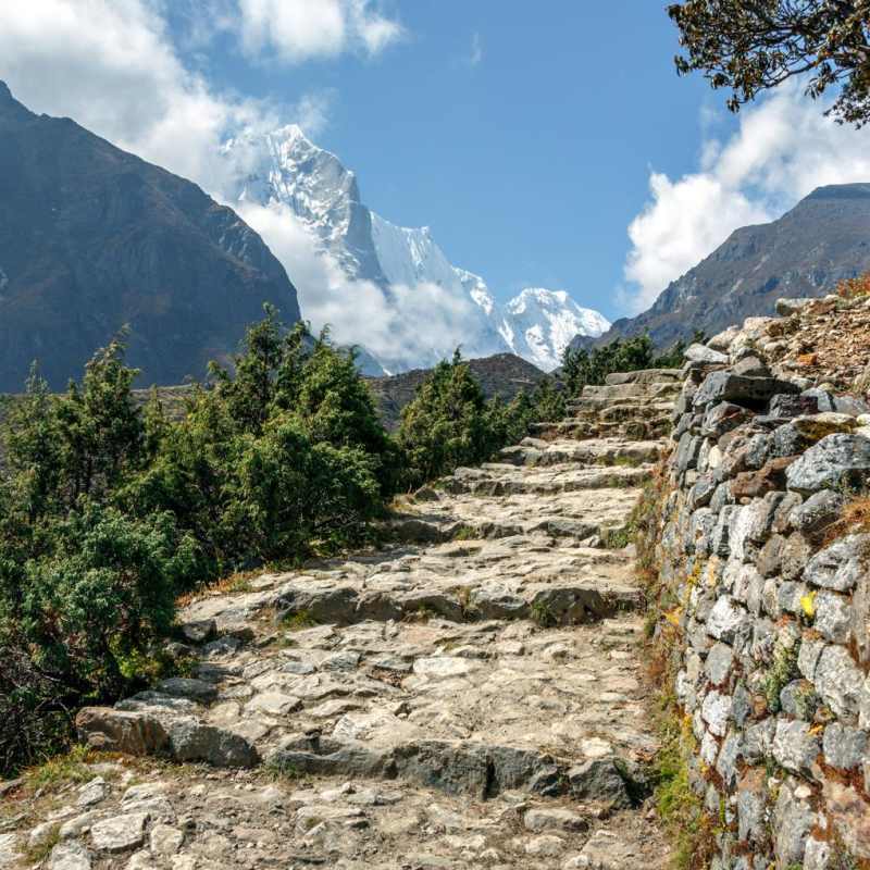 Wild Nepal 