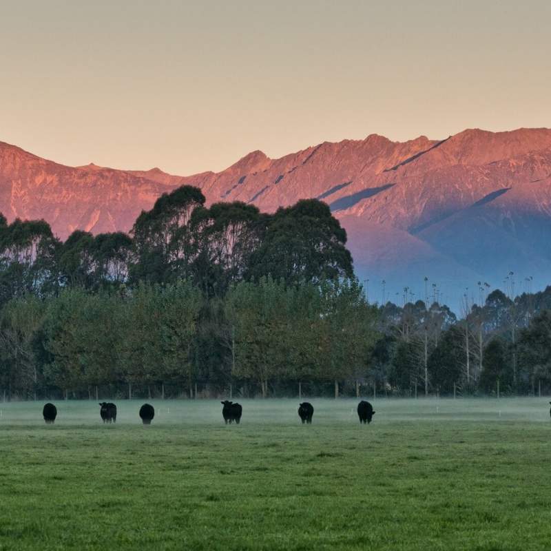 Farmland