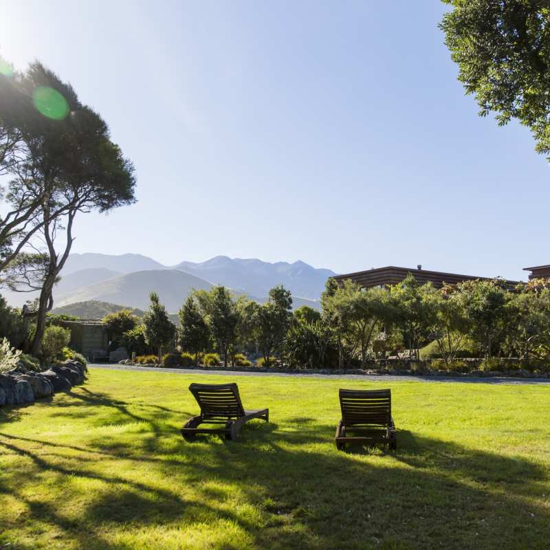 Garden view - Hapuku Lodge