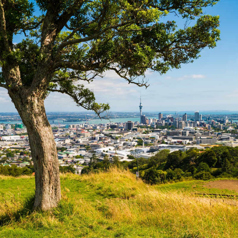 Auckland 