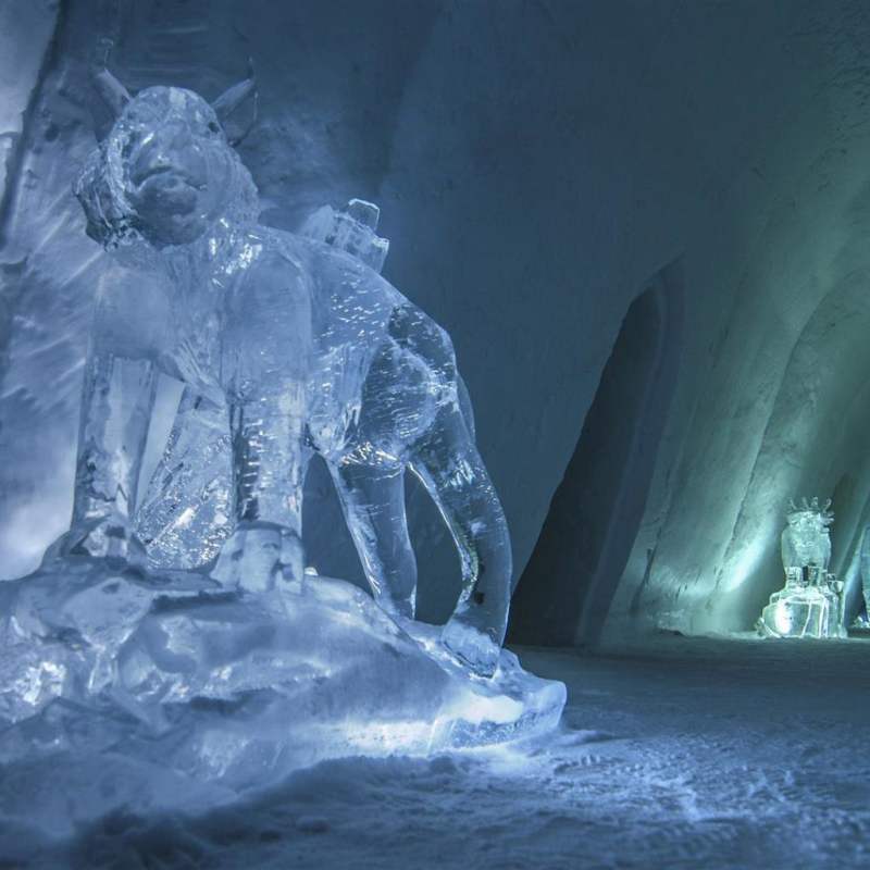 Ice Sculpture - Kirkenes Snow Hotel