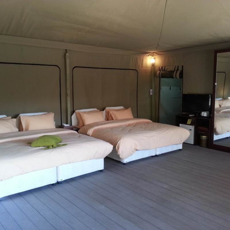 Eco Tent - Ras al Jinz Turtle Reserve