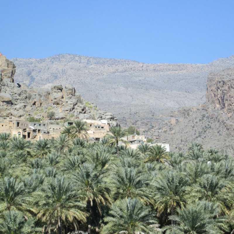 Active Oman