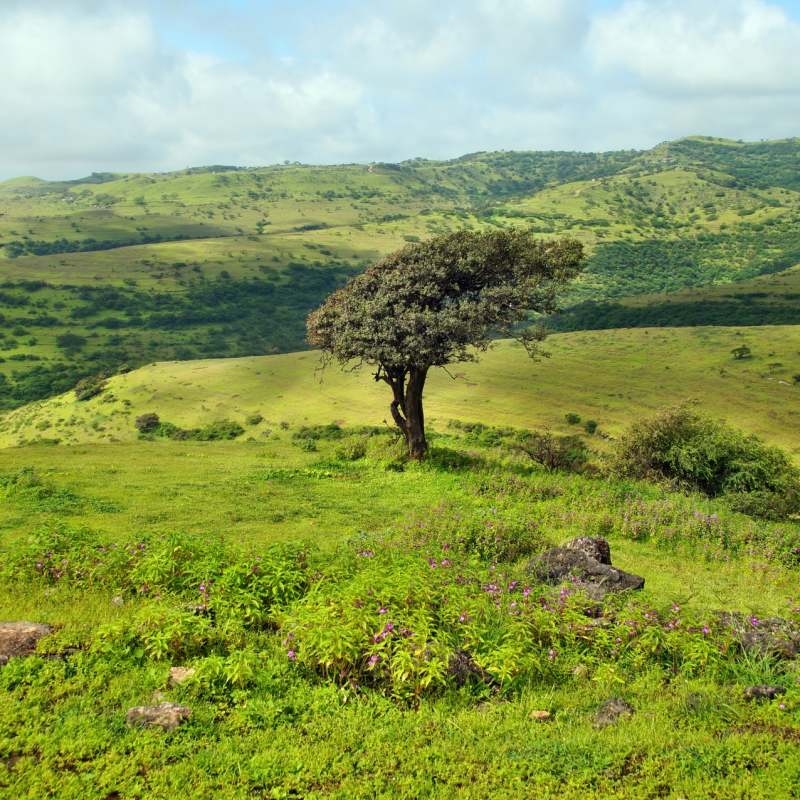 Salalah 
