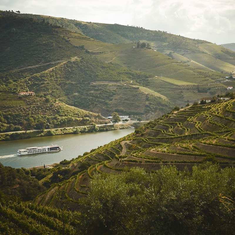 Douro Valley - Quinta Nova