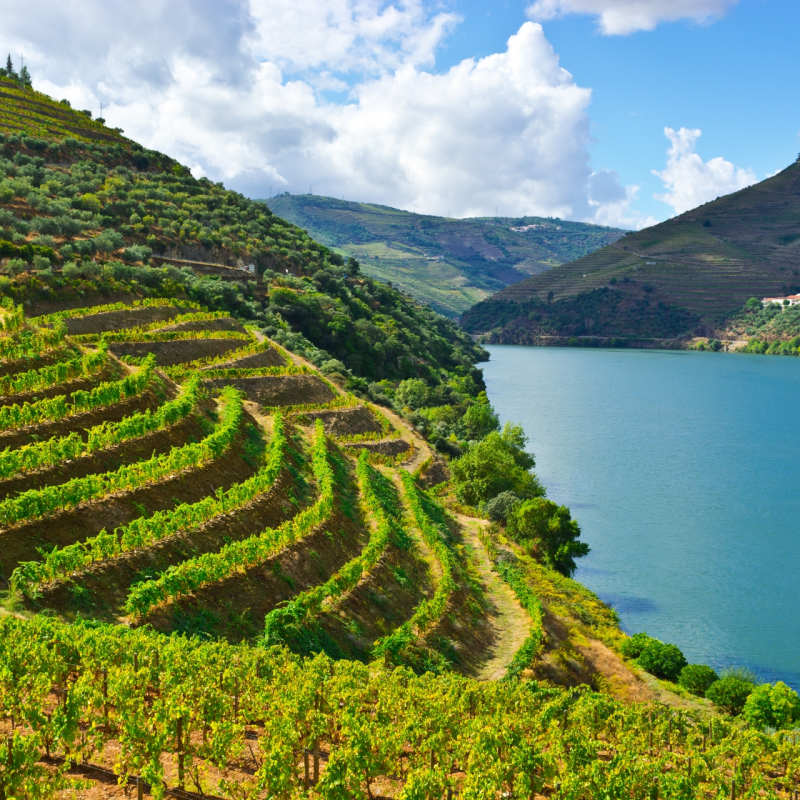 Douro Valley - Ultimate Portugal