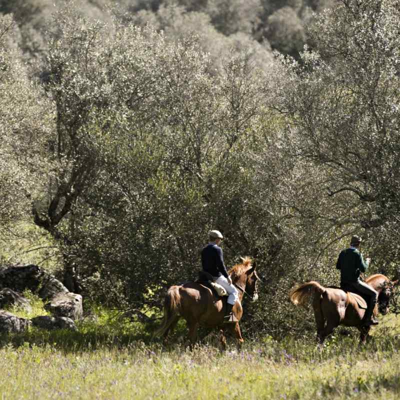 Horse riding - A family adventure in Portugal