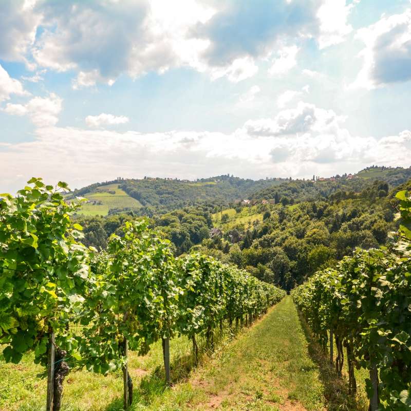 Douro Valley 