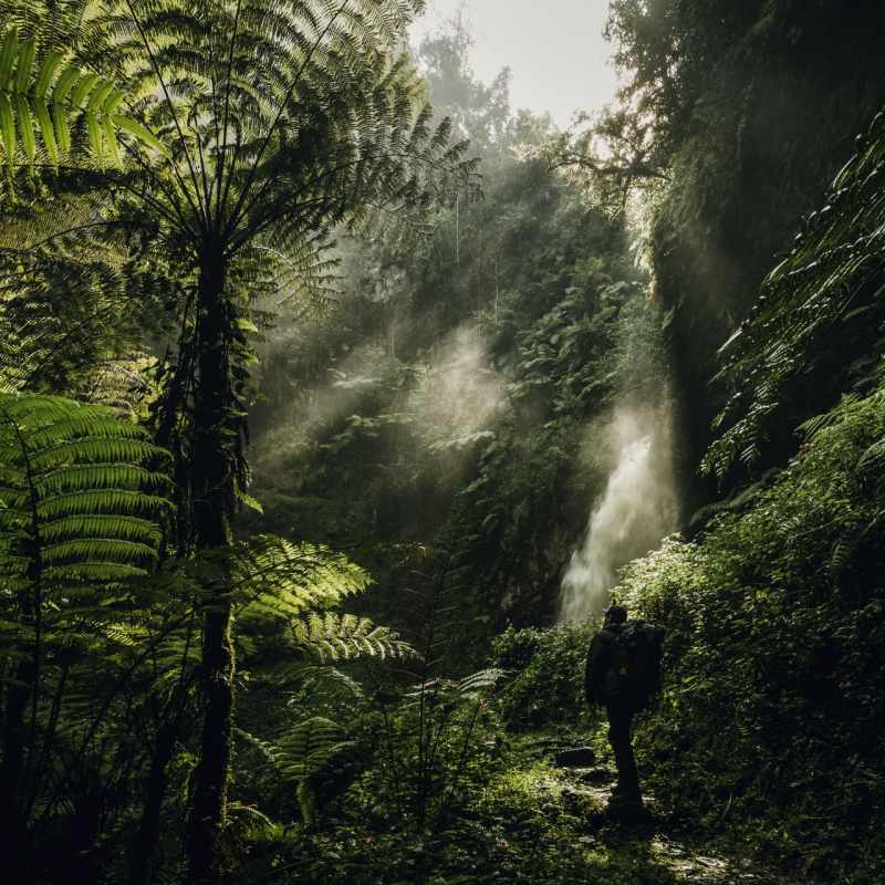 Waterfall trek- Nyungwe