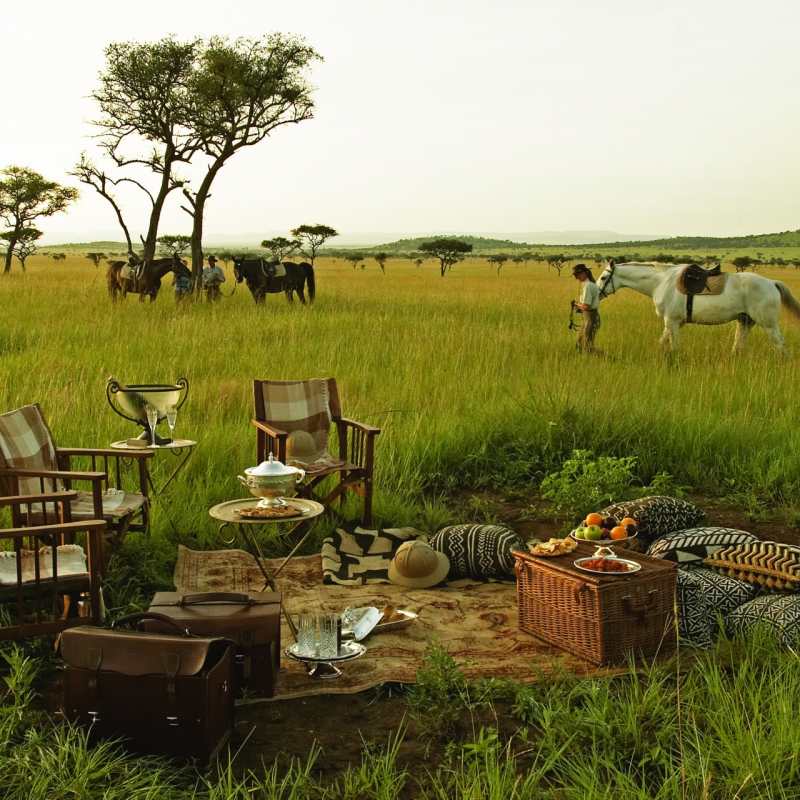 Singita picnic